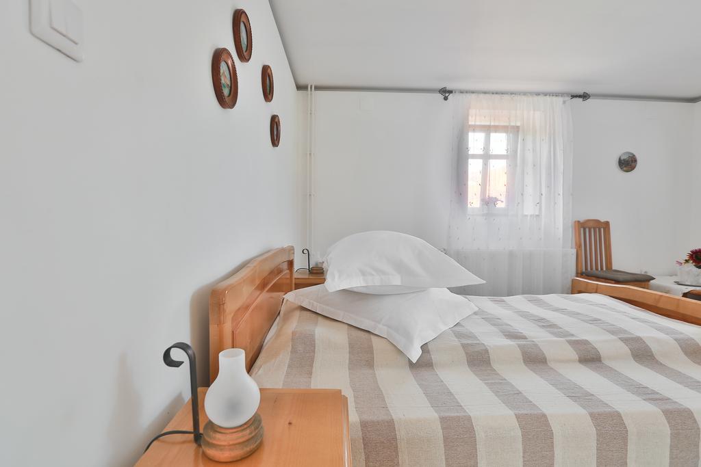Pensiunea Casa Canda Salasu de Sus Habitación foto