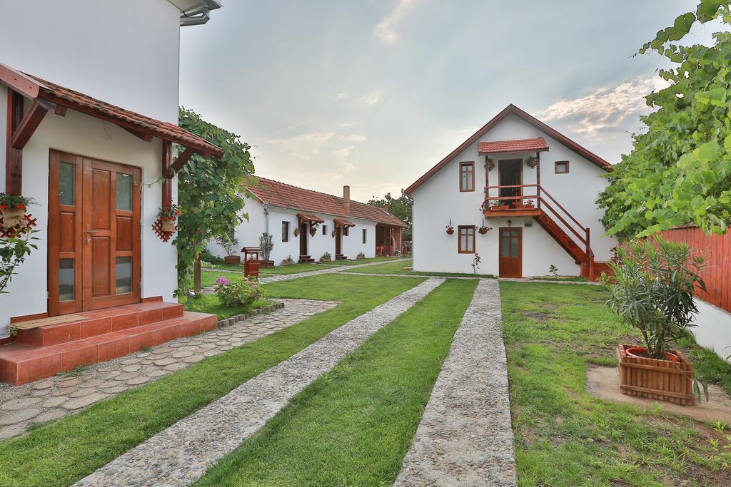 Pensiunea Casa Canda Salasu de Sus Exterior foto